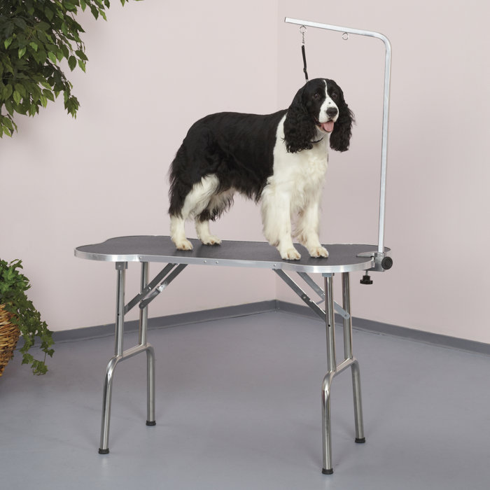Master Equipment Folding Grooming Table Wayfair